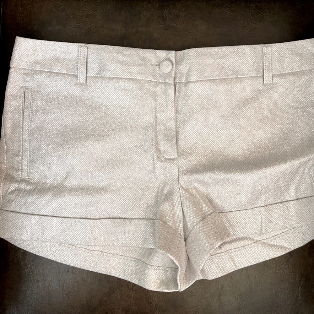 Express Sparkly Shorts